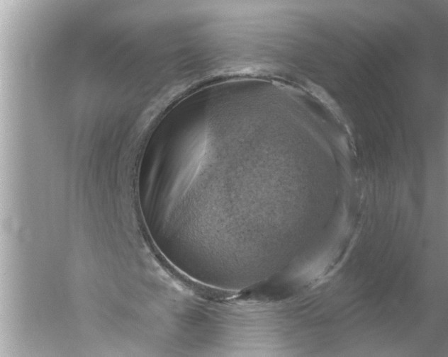 X0000052570577200507152254