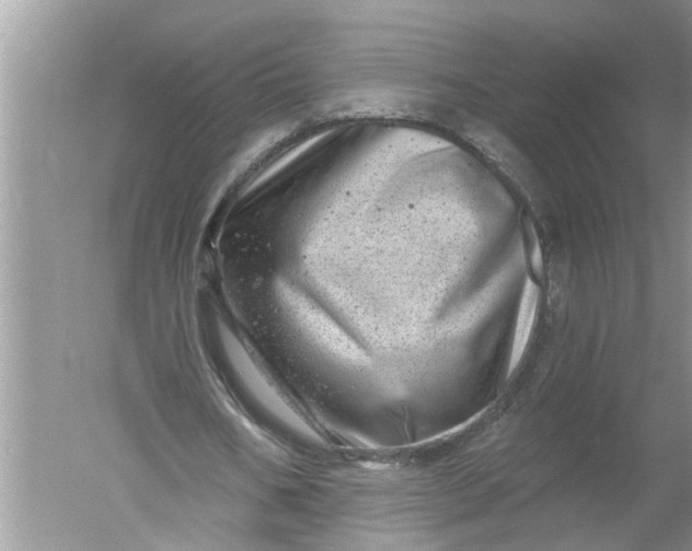 X0000052570578200507152254