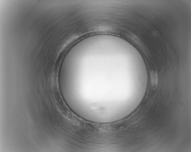 X0000052570579200507152254