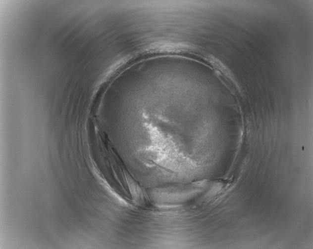 X0000052570581200507152254