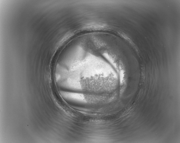 X0000052570582200507152254