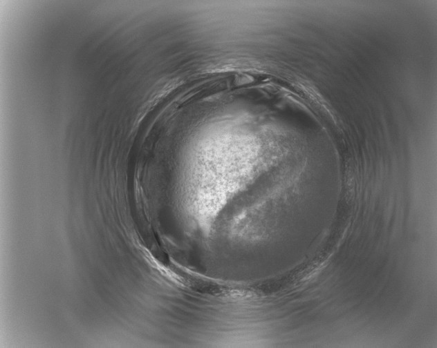 X0000052570585200507152254