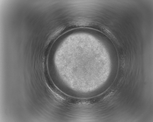 X0000052570586200507152254