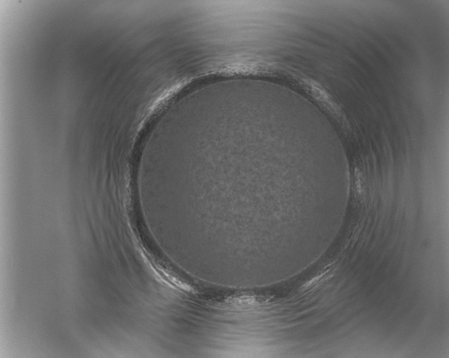 X0000052570588200507152254