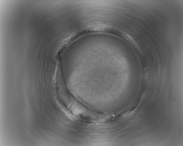 X0000052570589200507152254