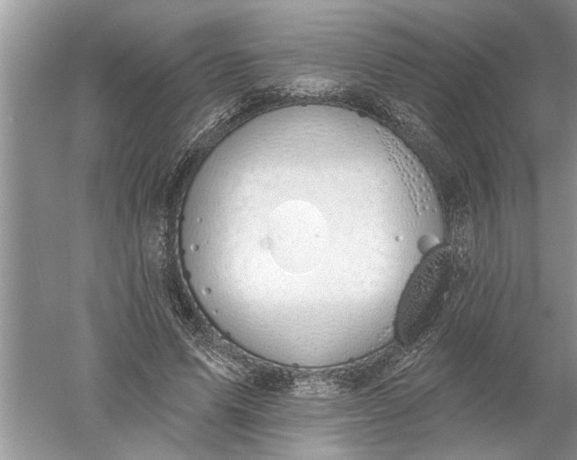 X0000052570591200507152254