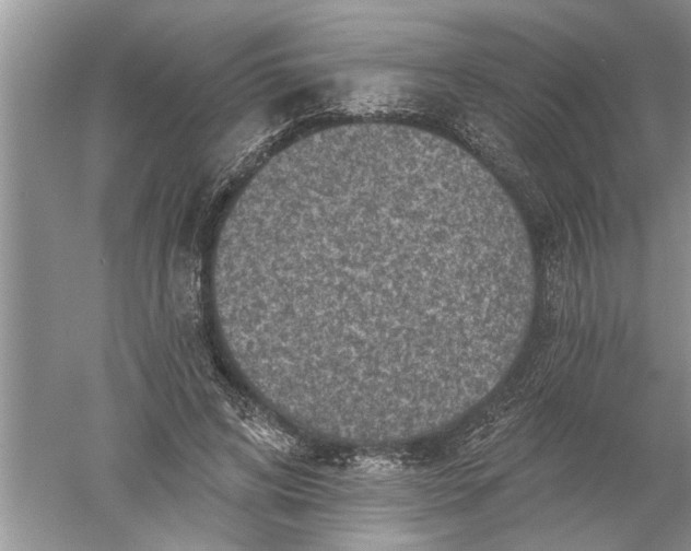 X0000052570592200507152254