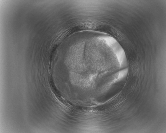 X0000052570594200507152254