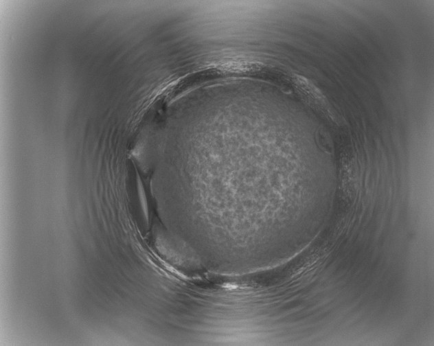 X0000052570596200507152254