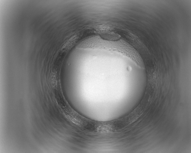 X0000052570599200507152254