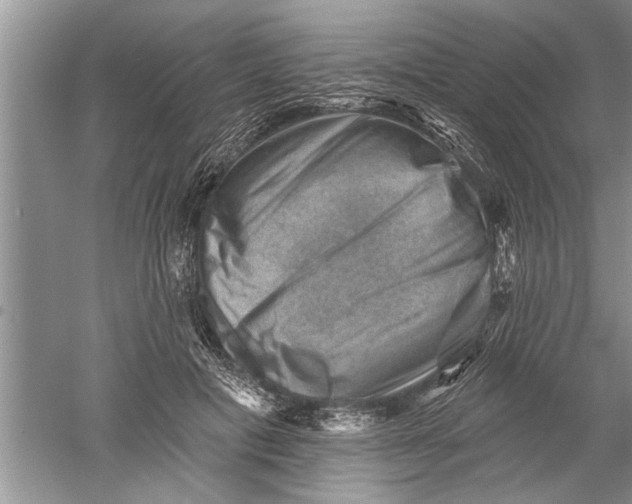 X0000052570601200507152254