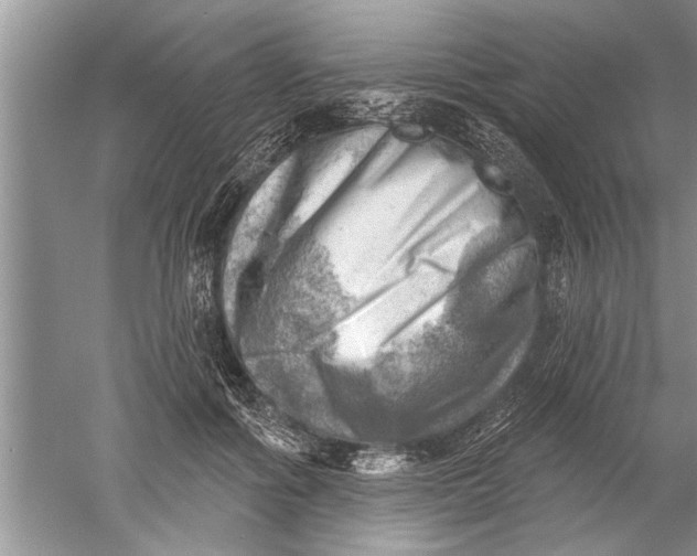 X0000052570602200507152254