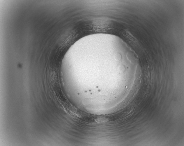 X0000052570603200507152254