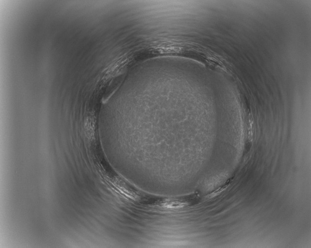 X0000052570604200507152254