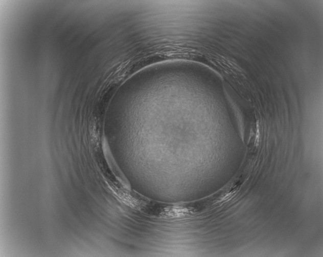 X0000052570607200507152254