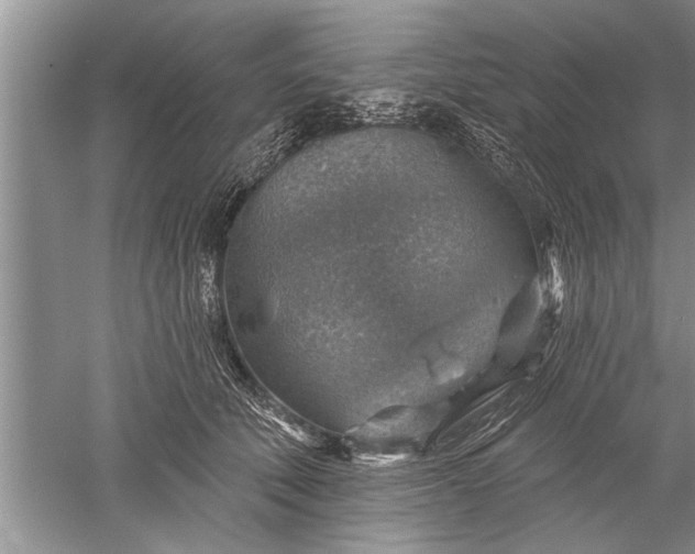 X0000052570610200507152254