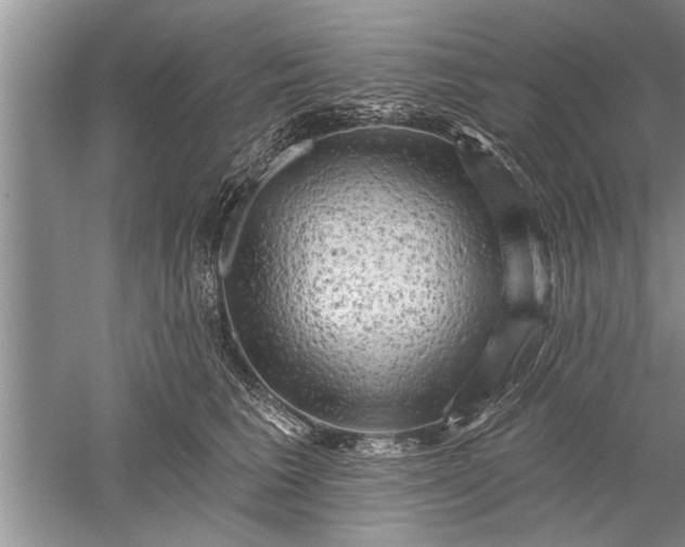 X0000052570613200507152254