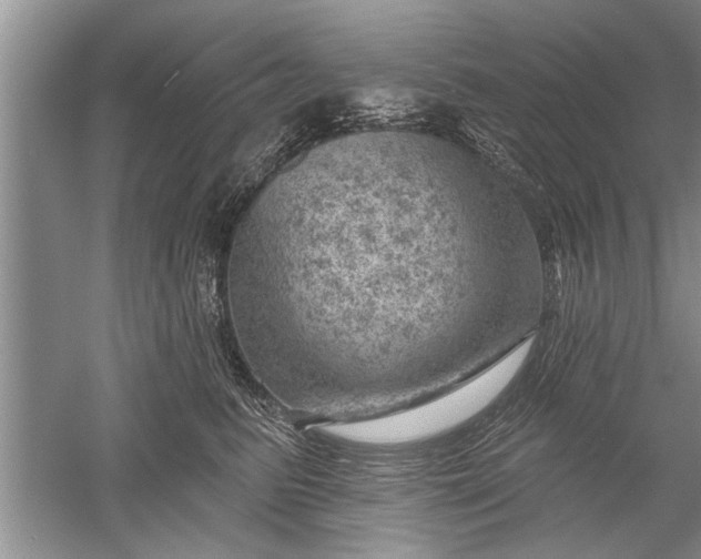 X0000052570615200507152254