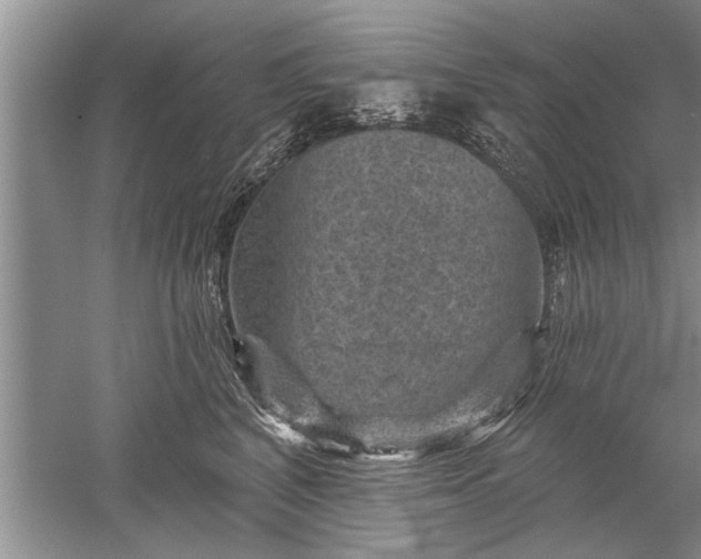 X0000052570616200507152254