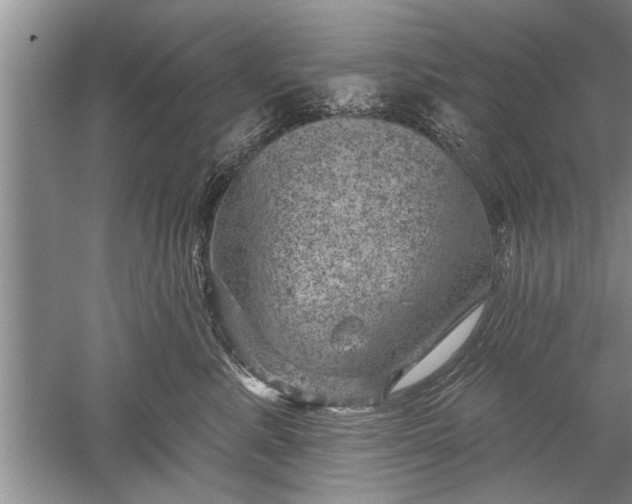 X0000052570619200507152254