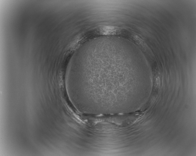 X0000052570620200507152254