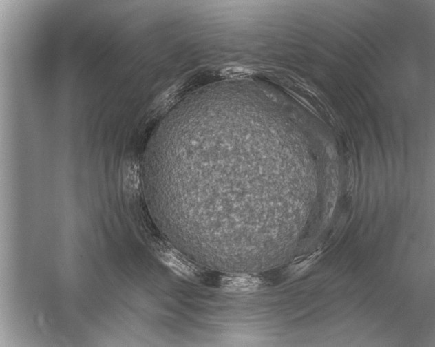 X0000052570621200507152254