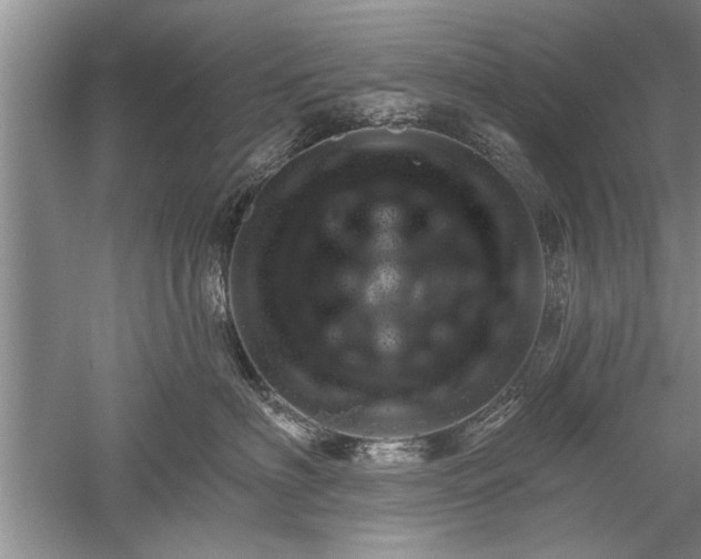 X0000052570622200507152254