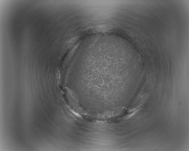 X0000052570624200507152254