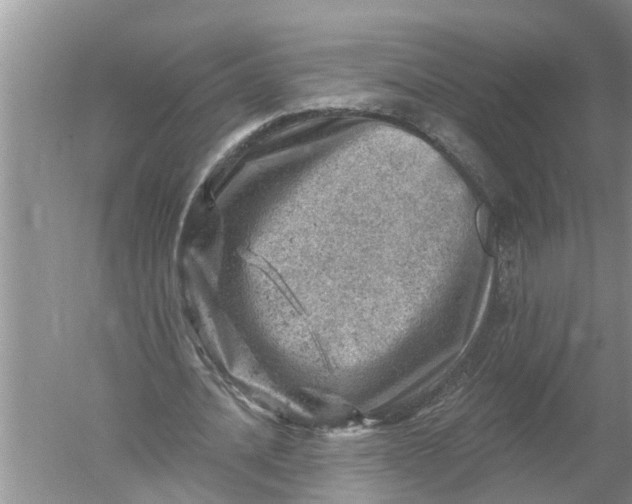 X0000052570628200507152253