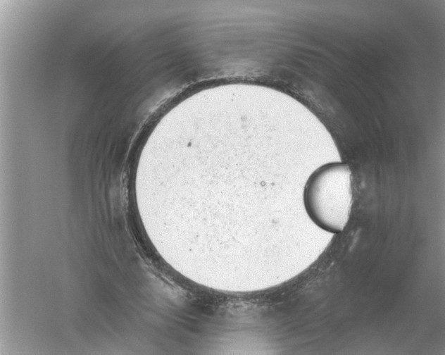 X0000052570632200507152253