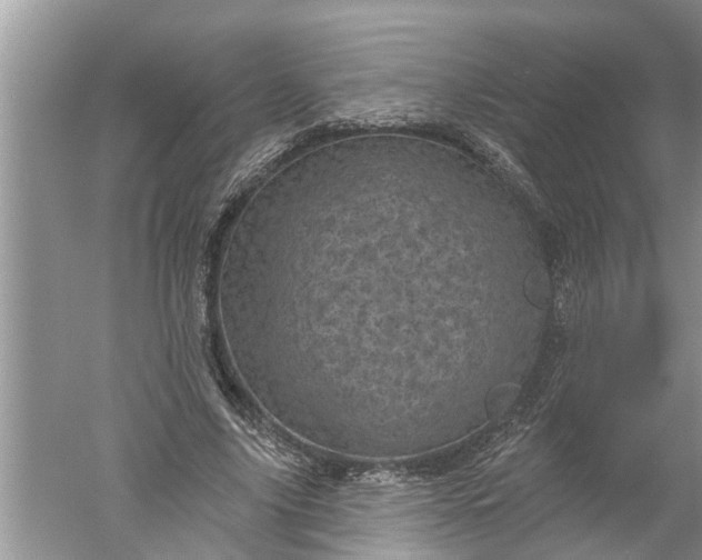 X0000052570635200507152253