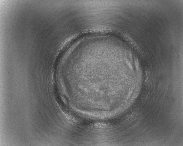 X0000052570636200507152253