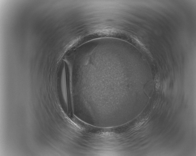 X0000052570637200507152253