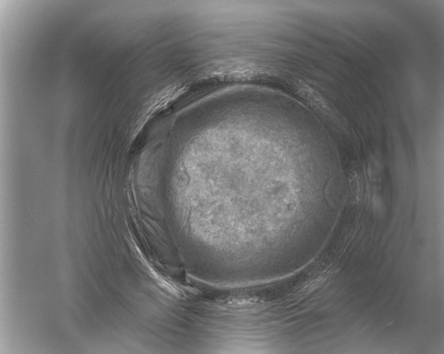 X0000052570638200507152253