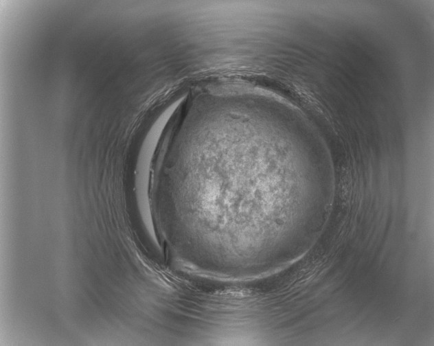 X0000052570639200507152253