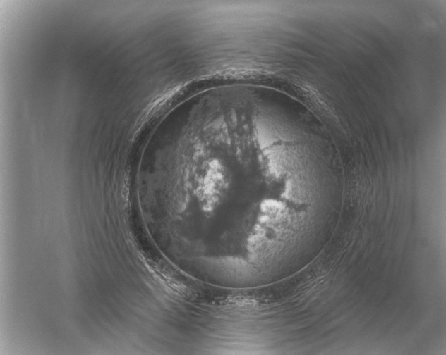 X0000052570640200507152253