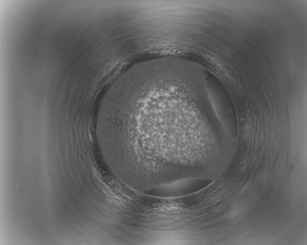 X0000052570643200507152253