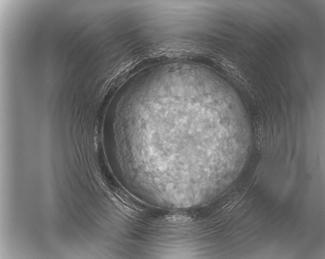 X0000052570644200507152253