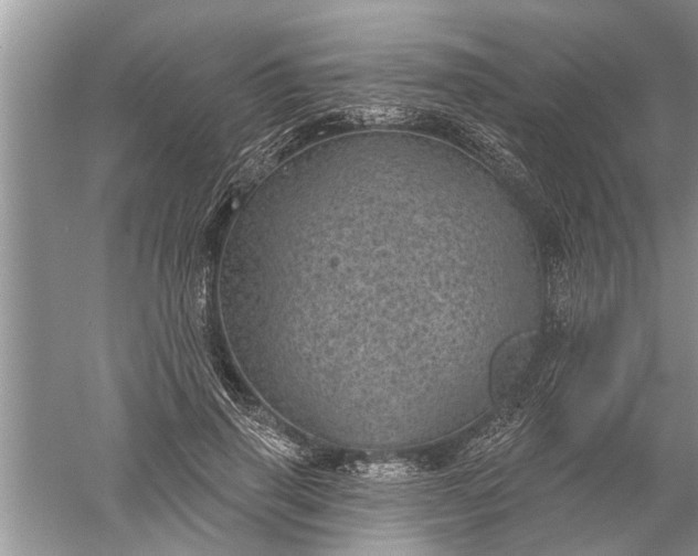 X0000052570645200507152253