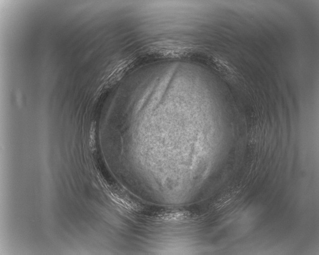 X0000052570646200507152253