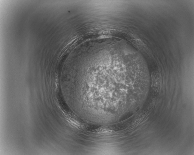 X0000052570648200507152253