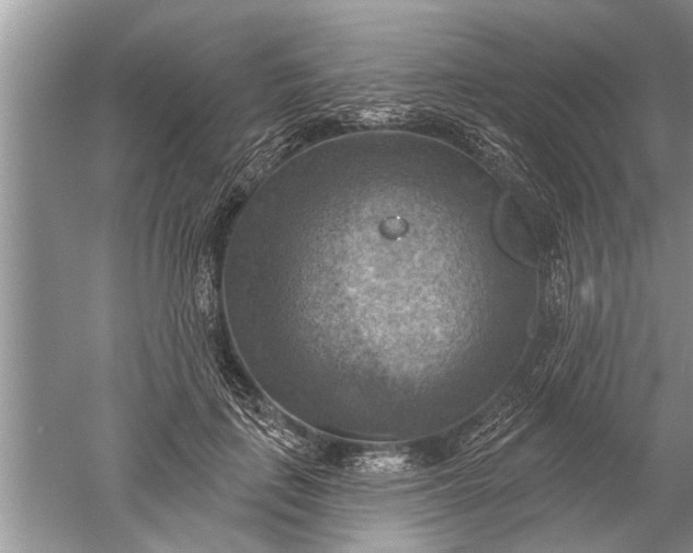 X0000052570651200507152253