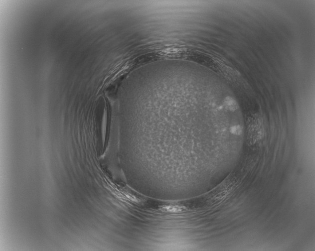 X0000052570654200507152253