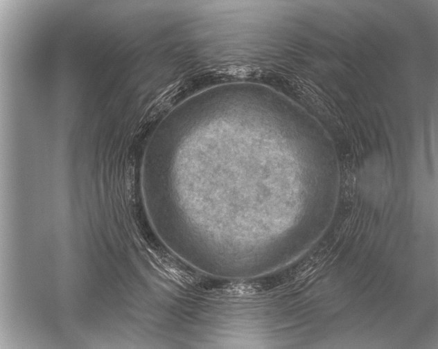 X0000052570656200507152253