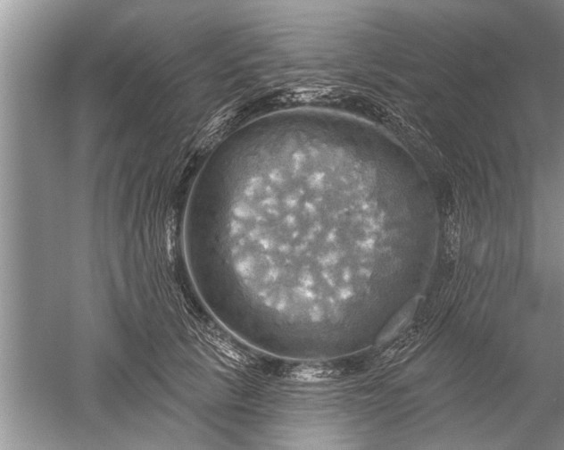 X0000052570657200507152253