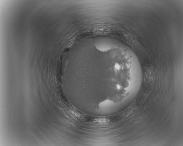 X0000052570659200507152253