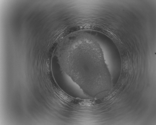 X0000052570661200507152253