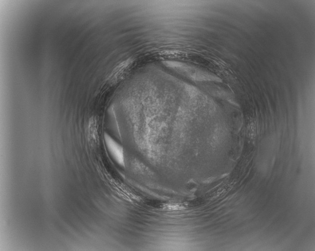 X0000052570662200507152253