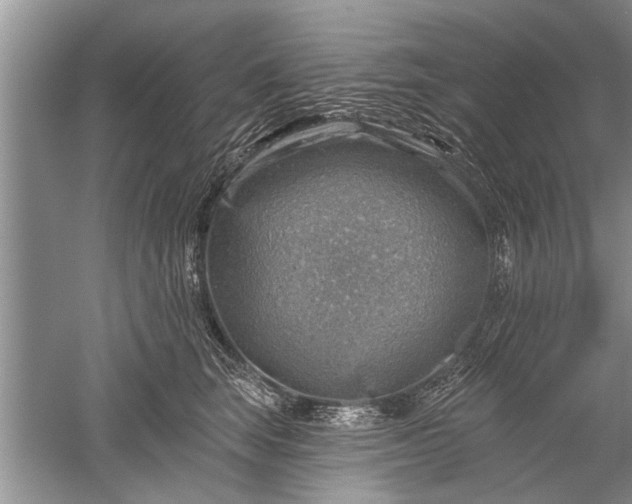 X0000052570663200507152253