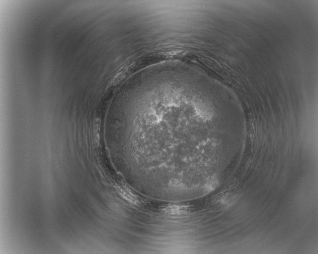 X0000052570664200507152253